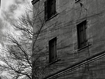 L'ombre d'un arbre sur un bâtiment